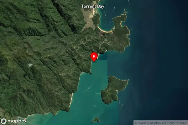 Cyathea Cove,Tasman Satellite Map