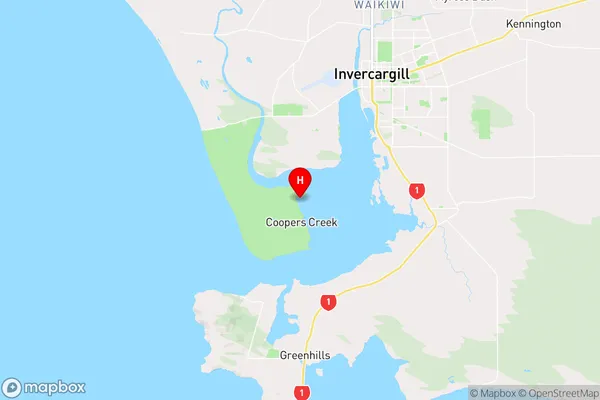 Daffodil Bay,Southland Region Map
