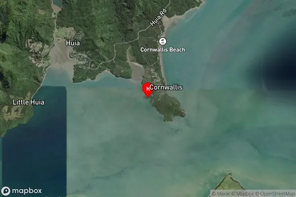 Daniel Bay,Auckland Satellite Map