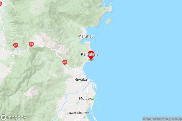 Dummy Bay,Tasman Region Map