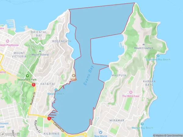 Evans Bay, Wellington Polygon Area Map