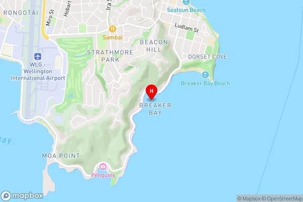 Eve Bay,Wellington Area Map