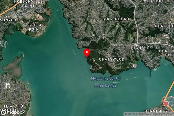 Fitzpatrick Bay,Auckland Satellite Map