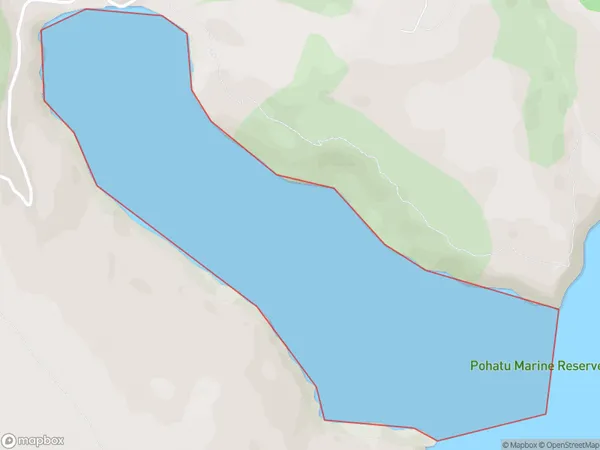Pohatu / Flea Bay, Otago Polygon Area Map
