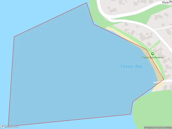 Foster Bay, Auckland Polygon Area Map