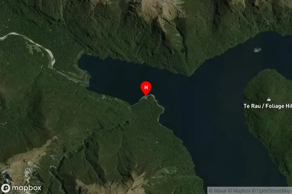 Franks Bay,Southland Satellite Map