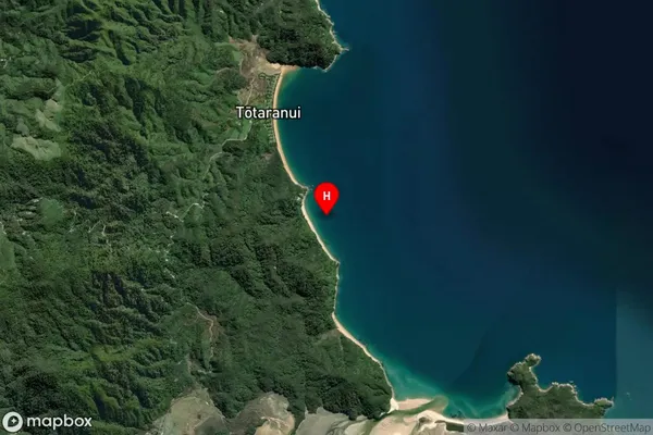 Goat Bay,Tasman Satellite Map