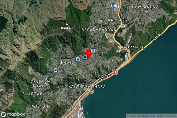 Khandallah,Wellington Satellite Map