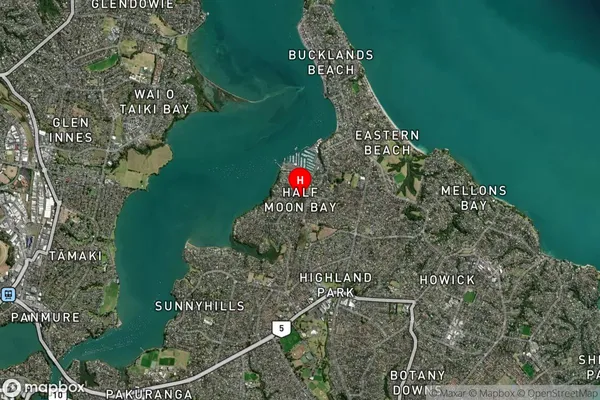 Half Moon Bay,Auckland Satellite Map