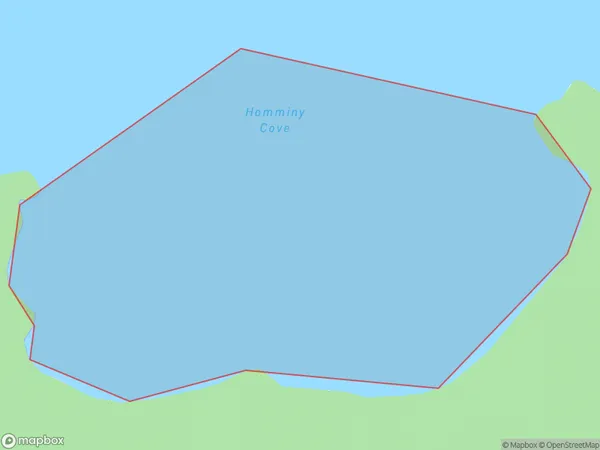 Homminy Cove, West Coast Polygon Area Map