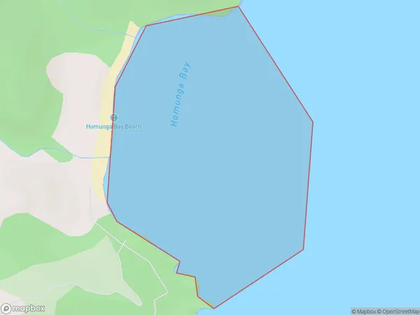 Homunga Bay, Waikato Polygon Area Map