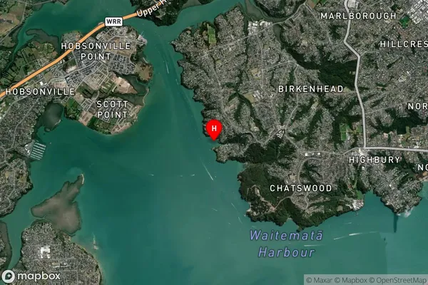 Island Bay,Auckland Satellite Map
