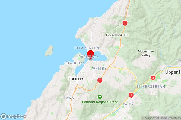 Ivey Bay,Wellington Region Map