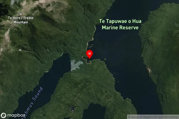 Jane Coves,Southland Satellite Map