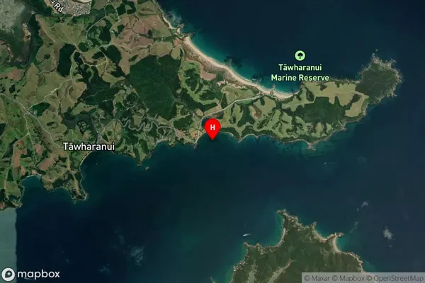 Jones Bay,Auckland Satellite Map