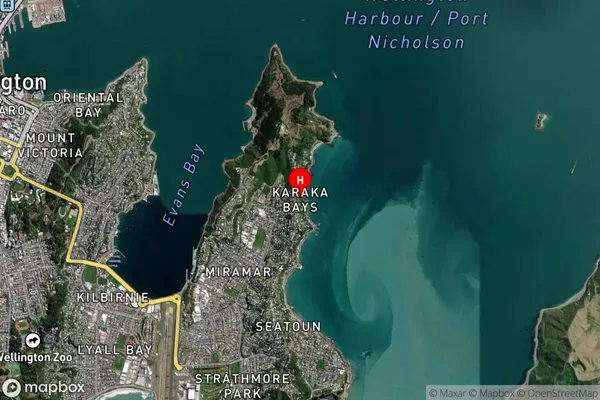 Karaka Bay,Wellington Satellite Map