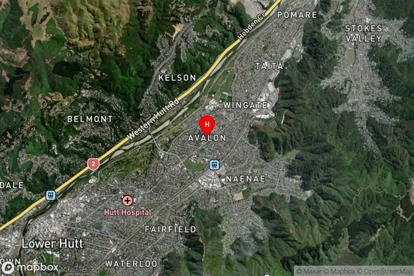 Avalon,Wellington Satellite Map