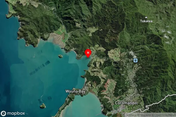 Kikowhakarere Bay,Waikato Satellite Map