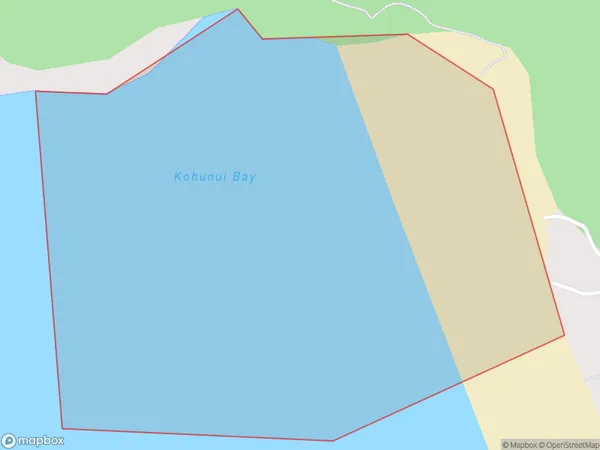 Kohunui Bay, Auckland Polygon Area Map