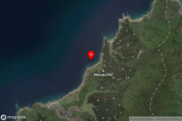 Kokorua Bay,Nelson Satellite Map