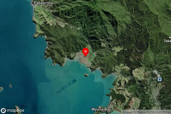 Koputauaki Bay,Waikato Satellite Map