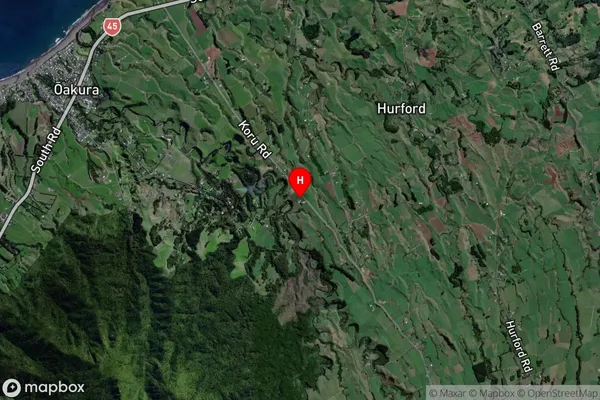 Koru,Taranaki Satellite Map