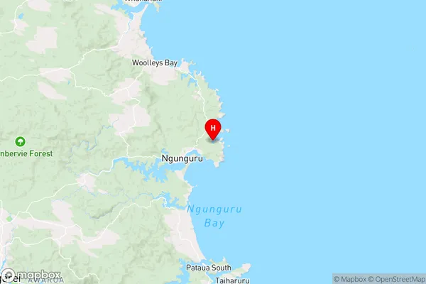 Kowharewa Bay,Northland Region Map