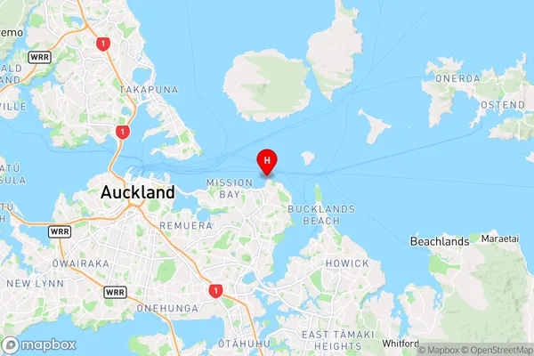 Ladies Bay,Auckland Region Map