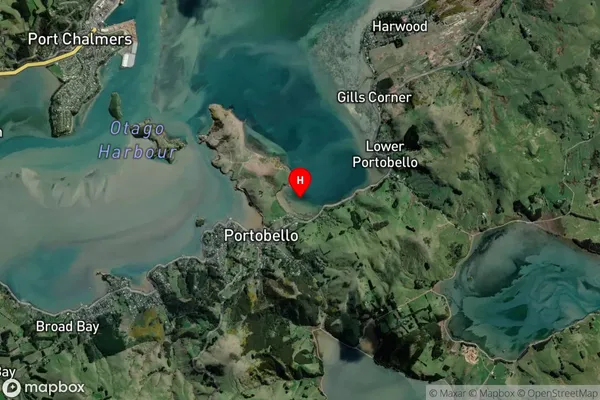 Lamlash Bay,Otago Satellite Map