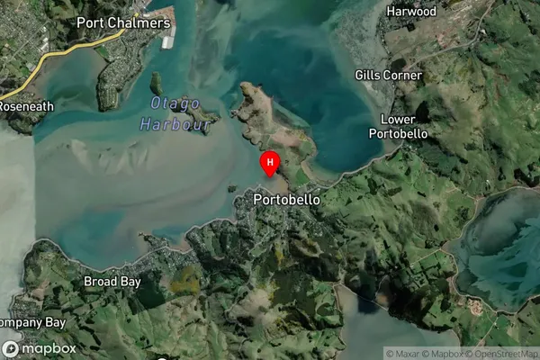 Latham Bay,Otago Satellite Map