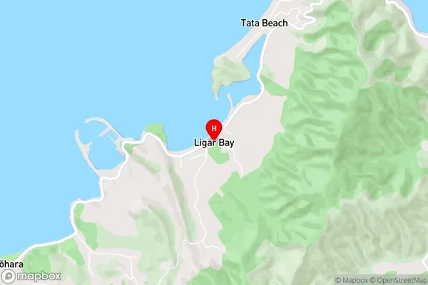 Ligar Bay,Tasman Area Map