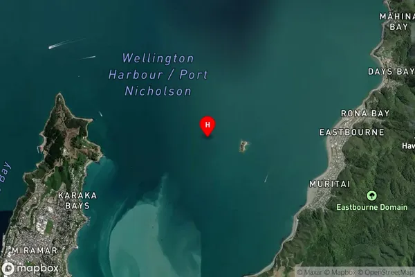 Mahanga Bay,Wellington Satellite Map