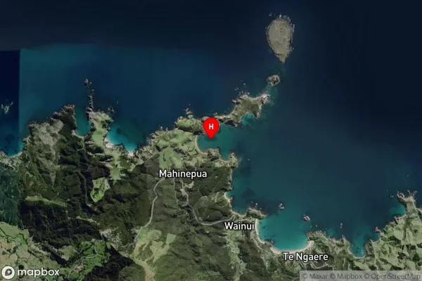 Mahinepua Bay,Northland Satellite Map