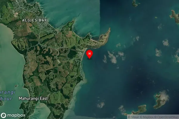 Martins Bay,Auckland Satellite Map