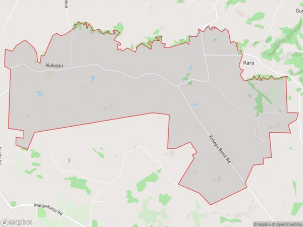 Kokopu, Northland Polygon Area Map