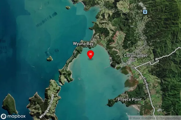 McGregor Bay,Waikato Satellite Map