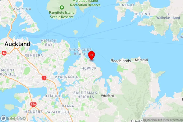 Mellons Bay,Auckland Region Map