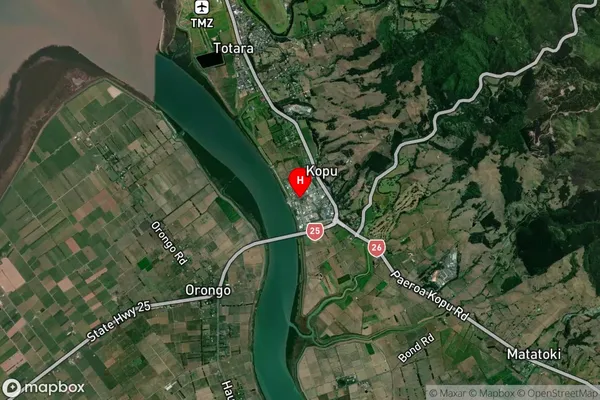 Kopu,Waikato Satellite Map