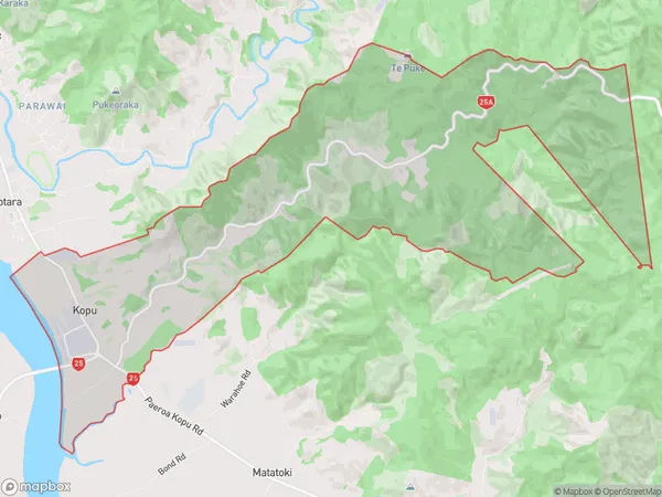 Kopu, Waikato Polygon Area Map