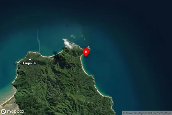 Mutton Cove,Tasman Satellite Map