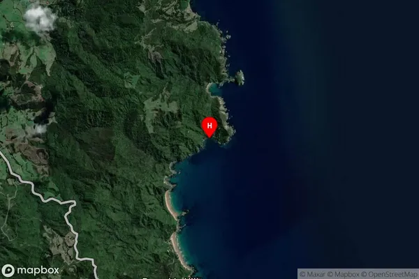 Neaves Bay,Waikato Satellite Map