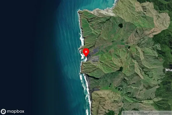 Ngararahae Bay,Waikato Satellite Map