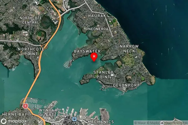 Ngataringa Bay,Auckland Satellite Map