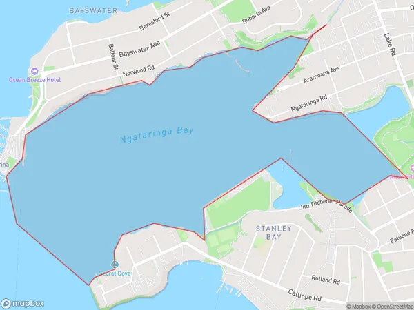 Ngataringa Bay, Auckland Polygon Area Map