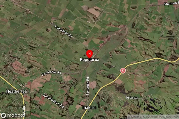 Koputaroa,Manawatu-Wanganui Satellite Map