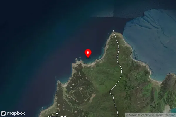 Oananga Bay,Nelson Satellite Map
