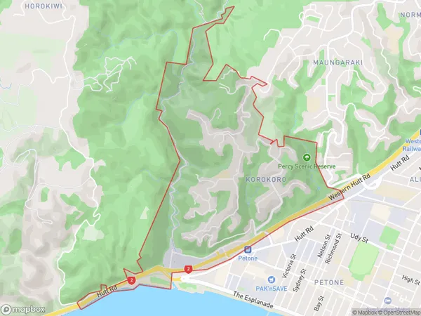 Korokoro, Wellington Polygon Area Map