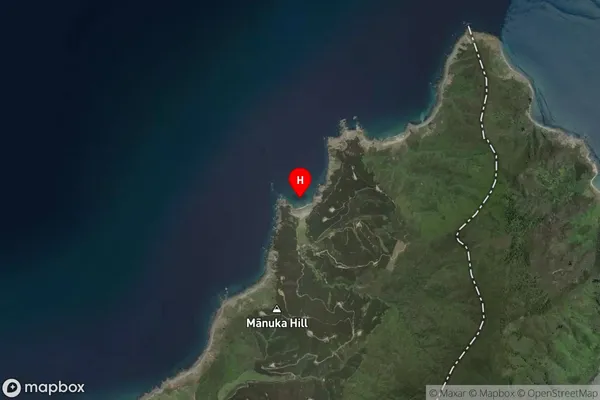 Omokau Bay,Nelson Satellite Map