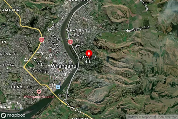 Bastia Hill,Manawatu-Wanganui Satellite Map