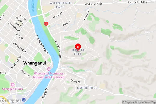 Bastia Hill,Manawatu-Wanganui Area Map